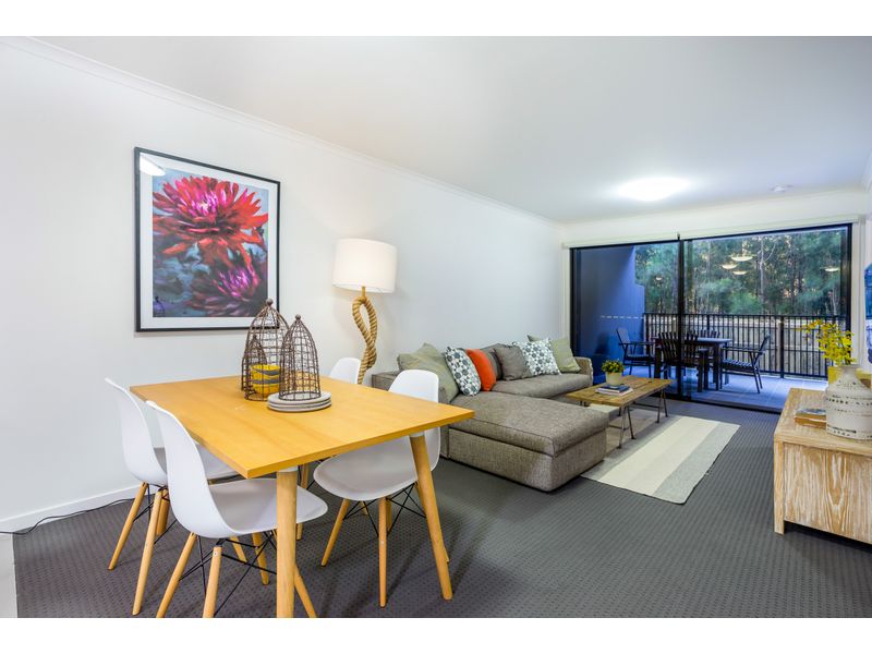 Private Property - Sippy Downs, Qld 4556