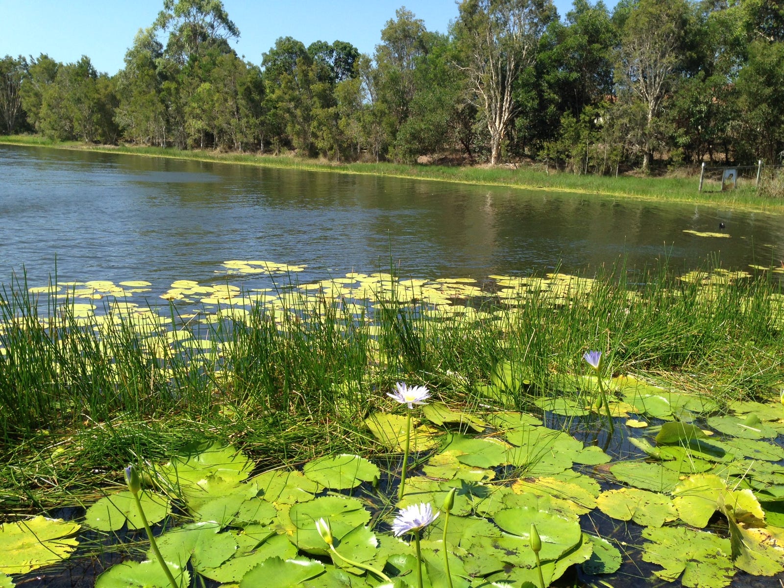 Private Property - Mango Hill, Qld 4509
